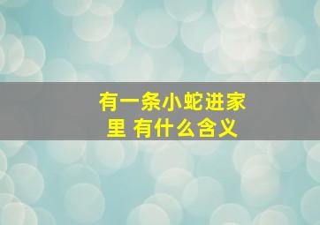 有一条小蛇进家里 有什么含义